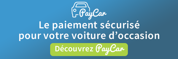 Paycar 600x200